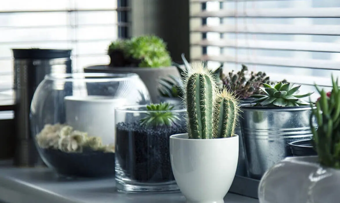 Morbi lacinia dolor ut diam maximus, id gravida velit elementum.