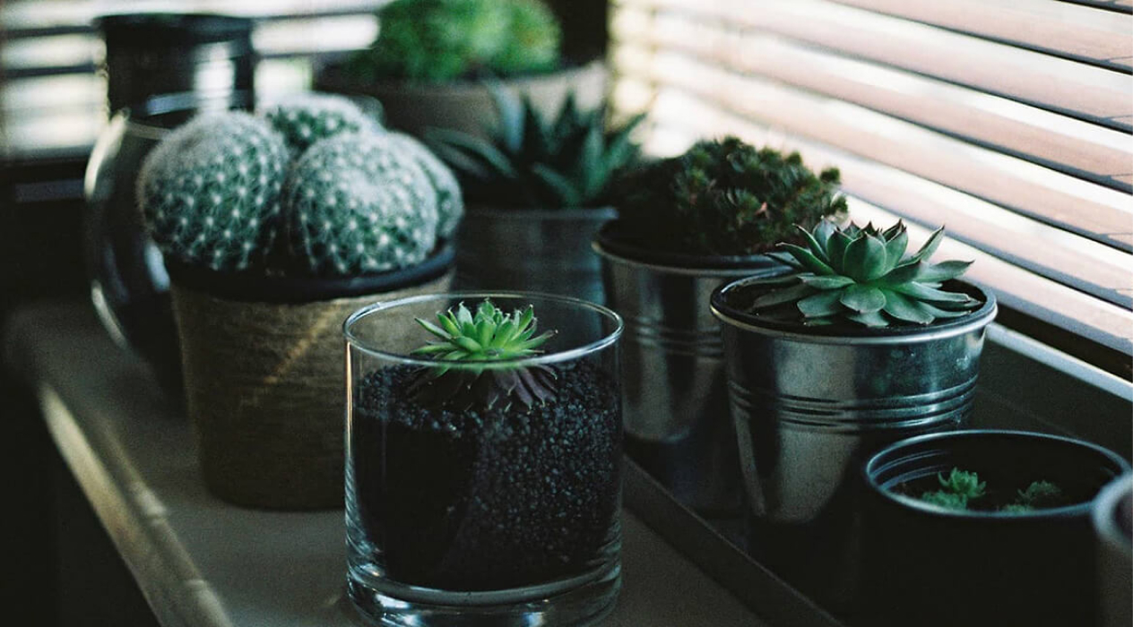 Vestibulum lobortis libero volutpat volutpat bibendum